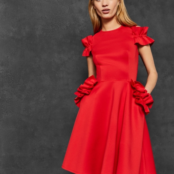 NWOT Ted Baker Detailed Ruffled w/ Pockets Dress - Picture 2 of 8
